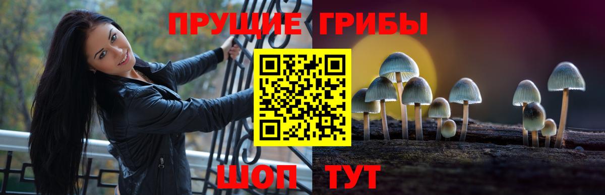 дарнет шоп  Вход с VPN  Верхняя Пышма  Псилоцибиновые грибы ЛСД  Псилоцибиновые грибы Magic Shrooms 
